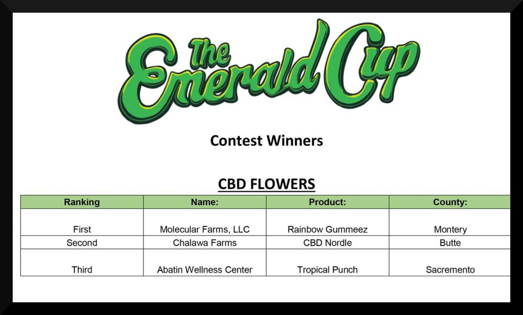 emerald-cup-2016-winners